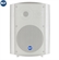 Loa RCF DM 61